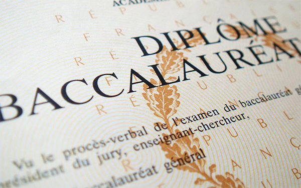 bac illustration