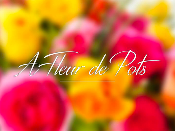 AFDP carré