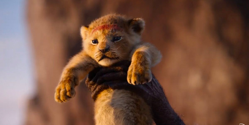simba